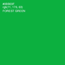 #0BB03F - Forest Green Color Image