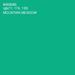 #0BB085 - Mountain Meadow Color Image
