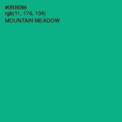 #0BB086 - Mountain Meadow Color Image