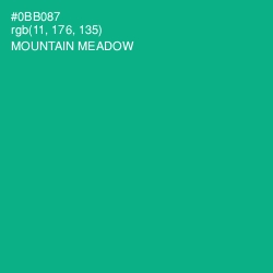 #0BB087 - Mountain Meadow Color Image