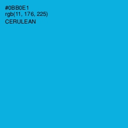 #0BB0E1 - Cerulean Color Image