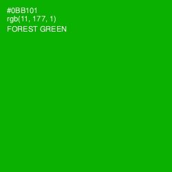 #0BB101 - Forest Green Color Image