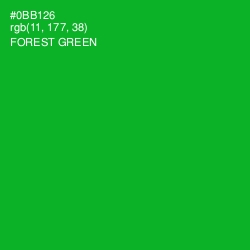 #0BB126 - Forest Green Color Image