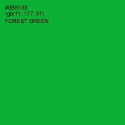 #0BB133 - Forest Green Color Image