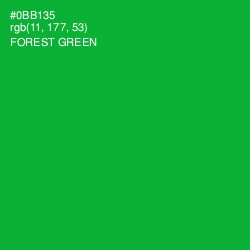 #0BB135 - Forest Green Color Image