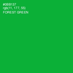 #0BB137 - Forest Green Color Image