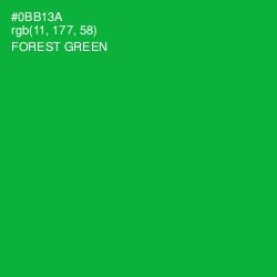 #0BB13A - Forest Green Color Image