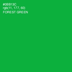 #0BB13C - Forest Green Color Image