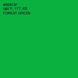 #0BB13F - Forest Green Color Image