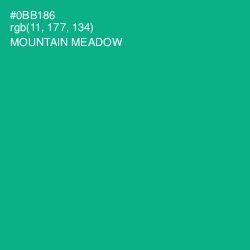 #0BB186 - Mountain Meadow Color Image