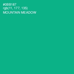 #0BB187 - Mountain Meadow Color Image