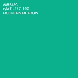 #0BB18C - Mountain Meadow Color Image