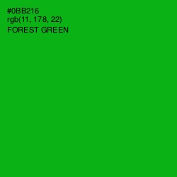 #0BB216 - Forest Green Color Image