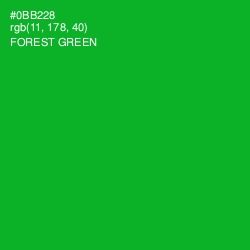 #0BB228 - Forest Green Color Image