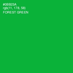 #0BB23A - Forest Green Color Image