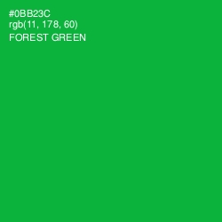 #0BB23C - Forest Green Color Image
