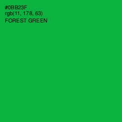 #0BB23F - Forest Green Color Image