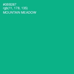 #0BB287 - Mountain Meadow Color Image