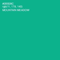 #0BB28C - Mountain Meadow Color Image