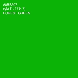 #0BB307 - Forest Green Color Image