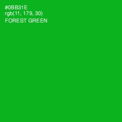 #0BB31E - Forest Green Color Image