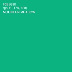 #0BB380 - Mountain Meadow Color Image