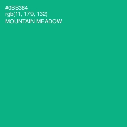 #0BB384 - Mountain Meadow Color Image