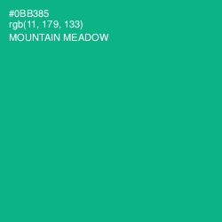 #0BB385 - Mountain Meadow Color Image
