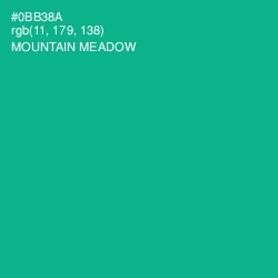 #0BB38A - Mountain Meadow Color Image