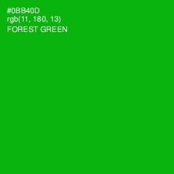 #0BB40D - Forest Green Color Image