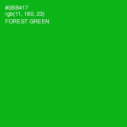 #0BB417 - Forest Green Color Image