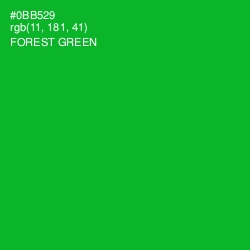 #0BB529 - Forest Green Color Image