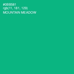 #0BB581 - Mountain Meadow Color Image