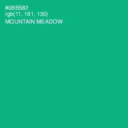 #0BB582 - Mountain Meadow Color Image