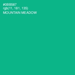 #0BB587 - Mountain Meadow Color Image