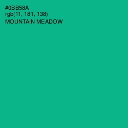 #0BB58A - Mountain Meadow Color Image