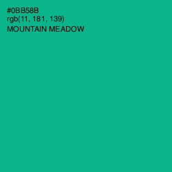 #0BB58B - Mountain Meadow Color Image