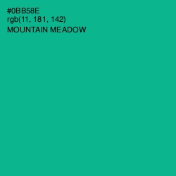 #0BB58E - Mountain Meadow Color Image