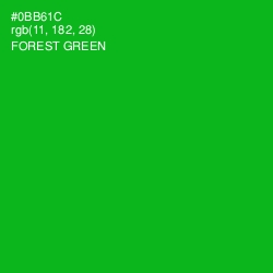 #0BB61C - Forest Green Color Image