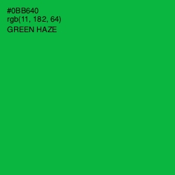 #0BB640 - Green Haze Color Image