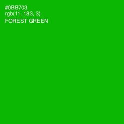 #0BB703 - Forest Green Color Image