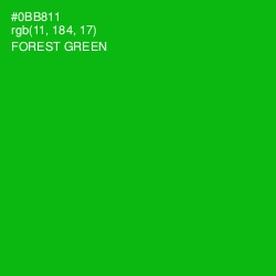 #0BB811 - Forest Green Color Image