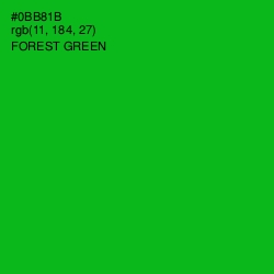 #0BB81B - Forest Green Color Image