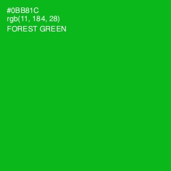 #0BB81C - Forest Green Color Image