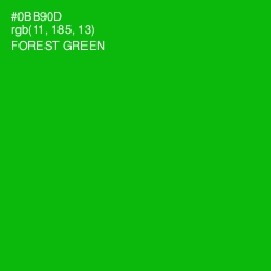 #0BB90D - Forest Green Color Image