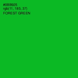 #0BB925 - Forest Green Color Image