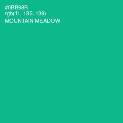 #0BB98B - Mountain Meadow Color Image