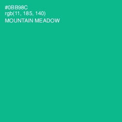 #0BB98C - Mountain Meadow Color Image