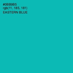 #0BB9B5 - Eastern Blue Color Image