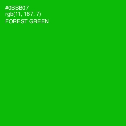 #0BBB07 - Forest Green Color Image